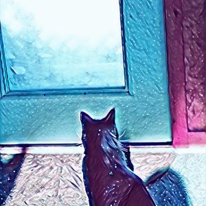 Meet your Posher, Lizzy